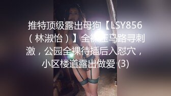 推特顶级露出母狗【LSY856（林淑怡）】全裸压马路寻刺激，公园全裸待插后入怼穴，小区楼道露出做爱 (3)