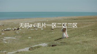 无码a√毛片一区二区三区