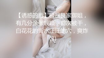 【加钱哥探花】深夜战挺能聊御姐，用屌磨蹭肥穴