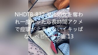 NHDTB-832 産後処女を奪われ一度イッたら長時間アクメで痙攣が止まらないイキッぱなしベビーカー妻 13