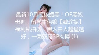 最新10月硬核媚黑！OF黑奴母狗，留学生伪娘【魏珍妮】福利私拍②，黑人白人越猛越好，一菊双屌3P肉搏 (1)