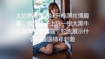 大奶熟女两姐妹开档黑丝情趣装，做在椅子上玩一根大黑牛，叫声浪表情骚，轮流展示什么叫骚逼精彩刺激