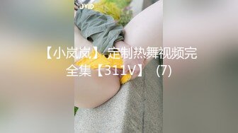 【小岚岚】 定制热舞视频完全集【311V】  (7)