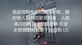 极品母狗电影院露出啪啪，随时被人发现的紧张刺激，人前高冷的极品大长腿女神 在金主爸爸面前就是下贱母狗 (2)