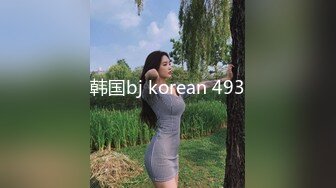 韩国bj korean 493