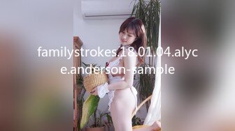 familystrokes.18.01.04.alyce.anderson-sample